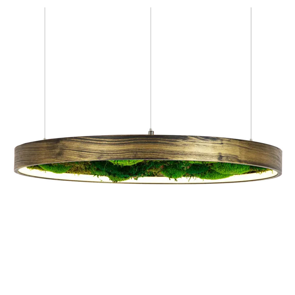 Moss Liken Sarkıt LED Armatür 30W
