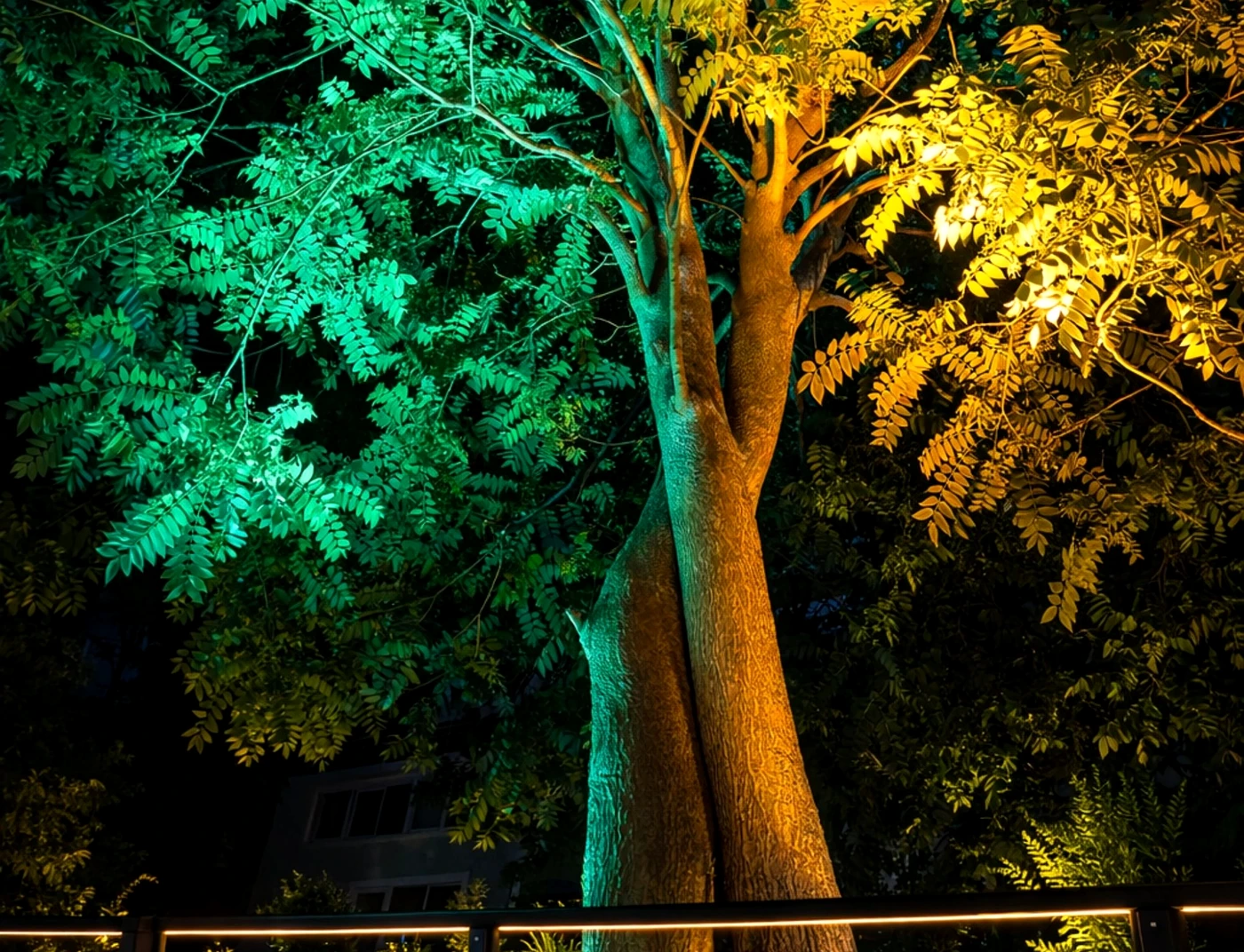 Premium Bahçe